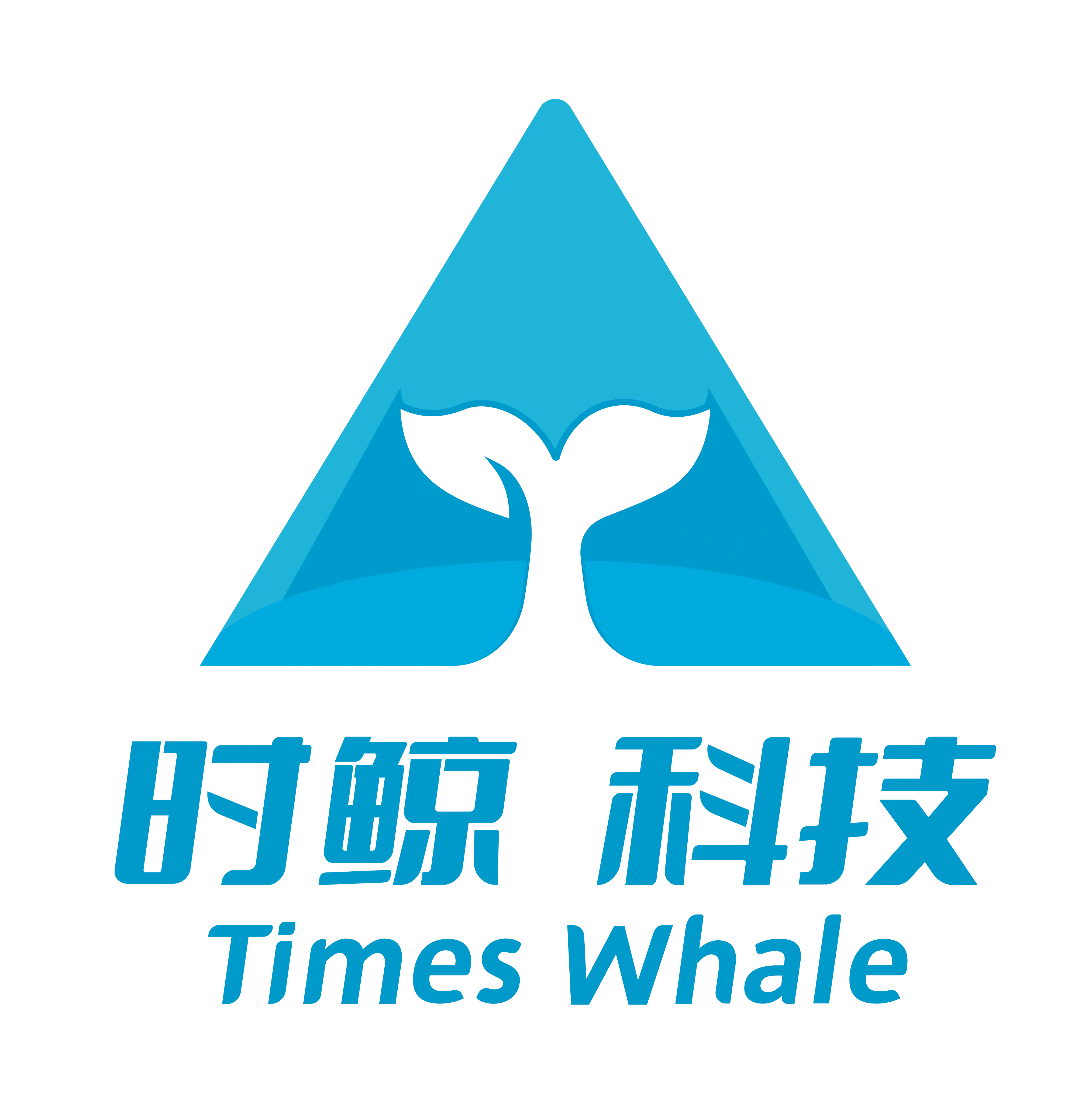时鲸科技